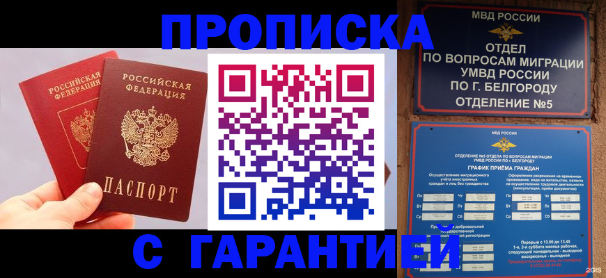 прописка 2025 в Дальнереченске